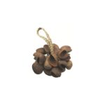 Toca T-SS Shaker Seed Shell