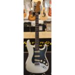 Fender 2019 Limited Edition Roasted Poblano Stratocaster® Relic®