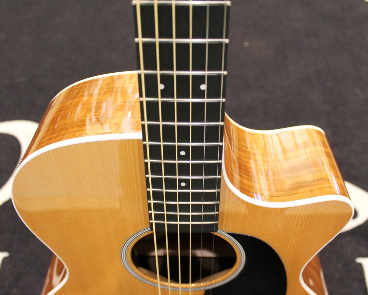 Martin GPC-RSG EX DEMO - immagine 4