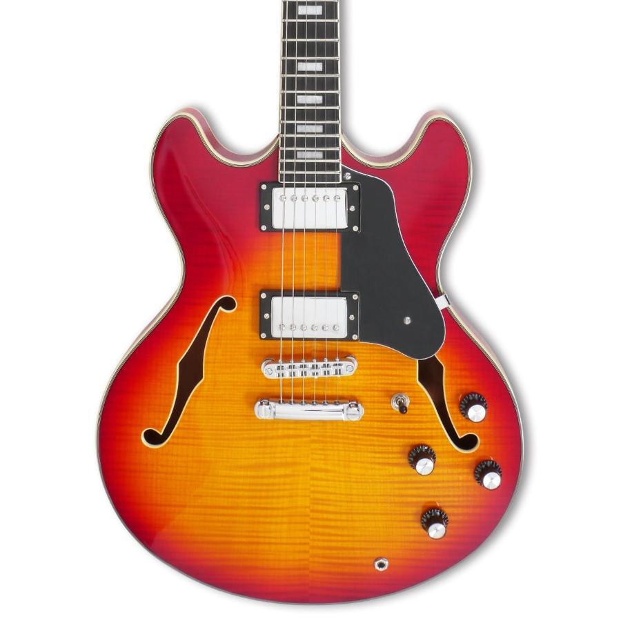 Larry Carlton H7T CS main image 1