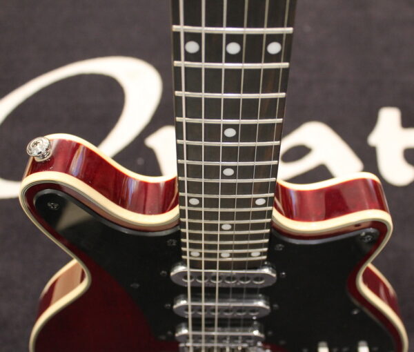 Brian May Red Special USATO cod. 95521 - immagine 5