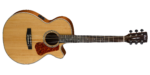 Cort L100F