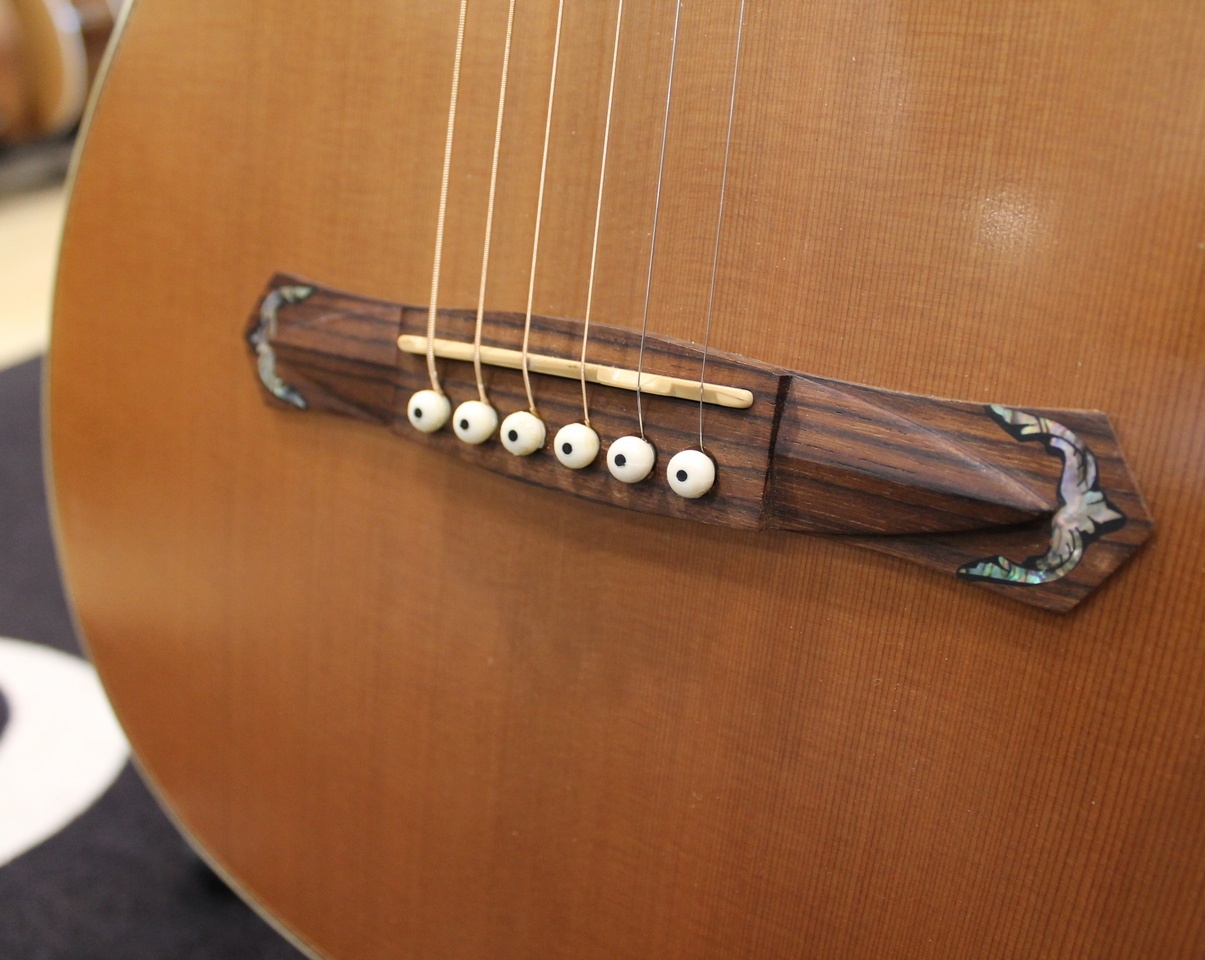 Cort Earth 900 USATO cod. 112521 - immagine 7