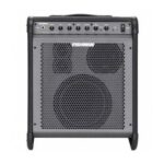 Fishman Loudbox Pro LBX EX1