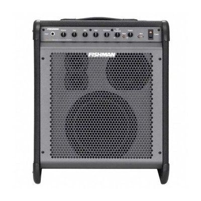 Fishman Loudbox Pro LBX EX1