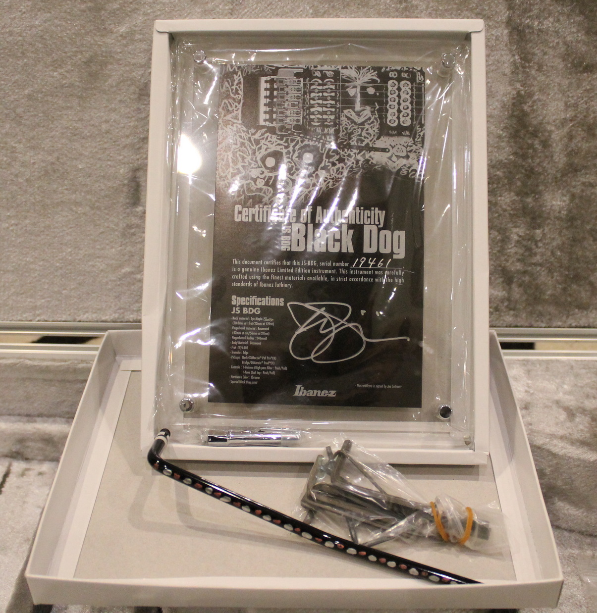 Ibanez JSBDG Black Dog USATO cod. 109921 - immagine 16