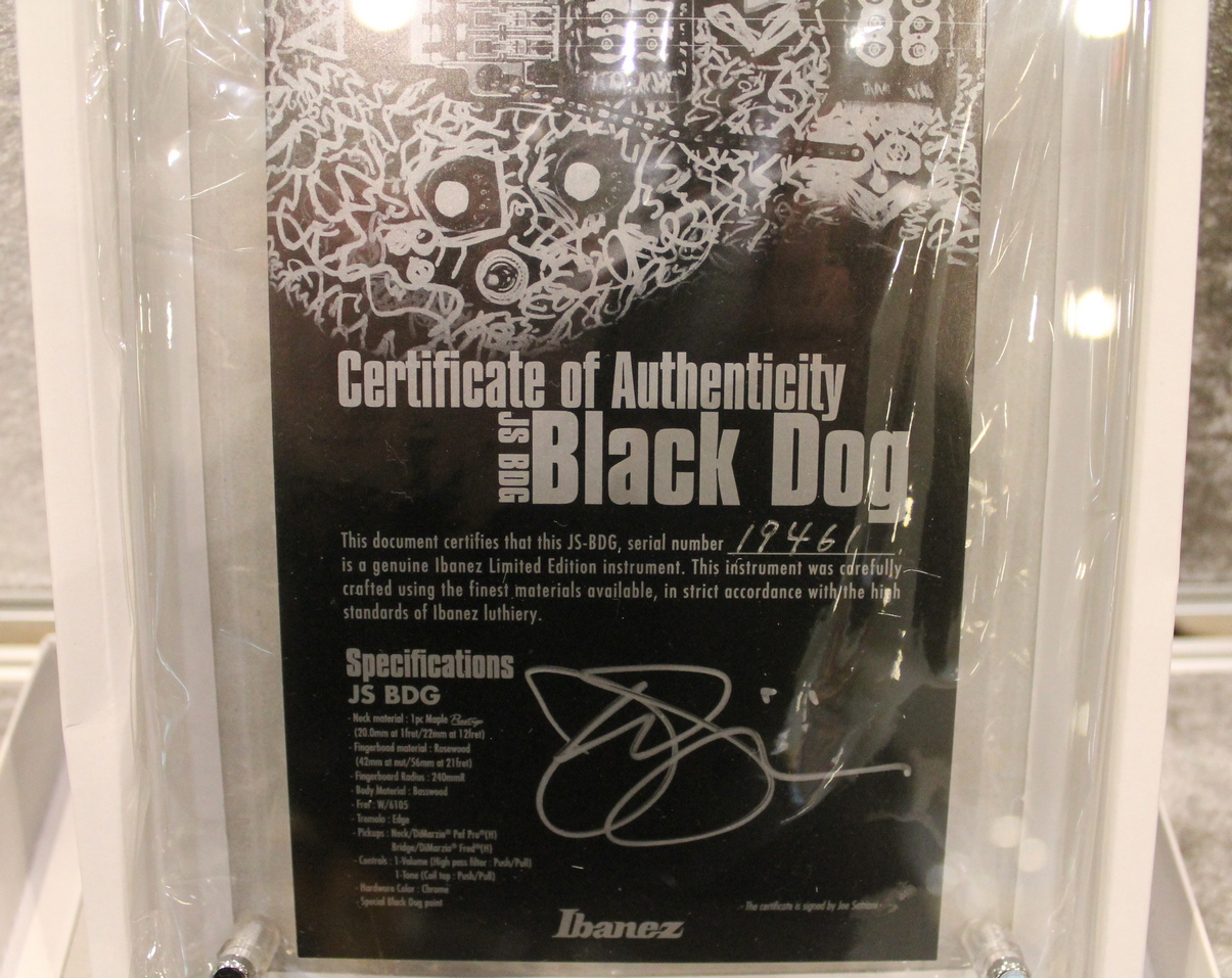 Ibanez JSBDG Black Dog USATO cod. 109921 - immagine 17
