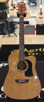 Washburn AD5CE USATO cod. 116321