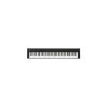 Korg D1 BK EX DEMO