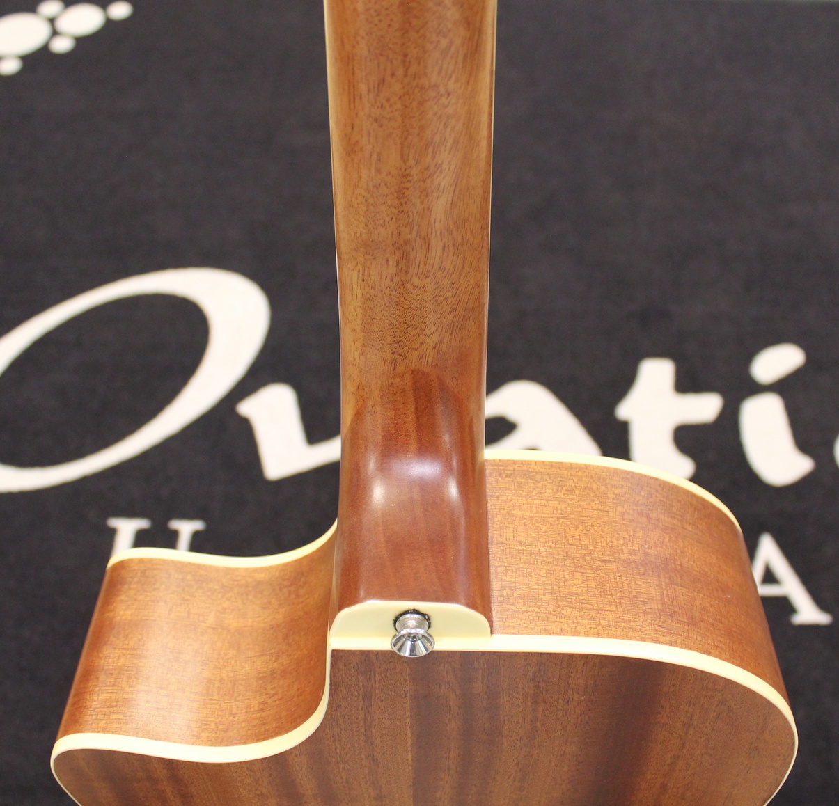 Alvarez AG60CE USATO cod. 124221 - immagine 11