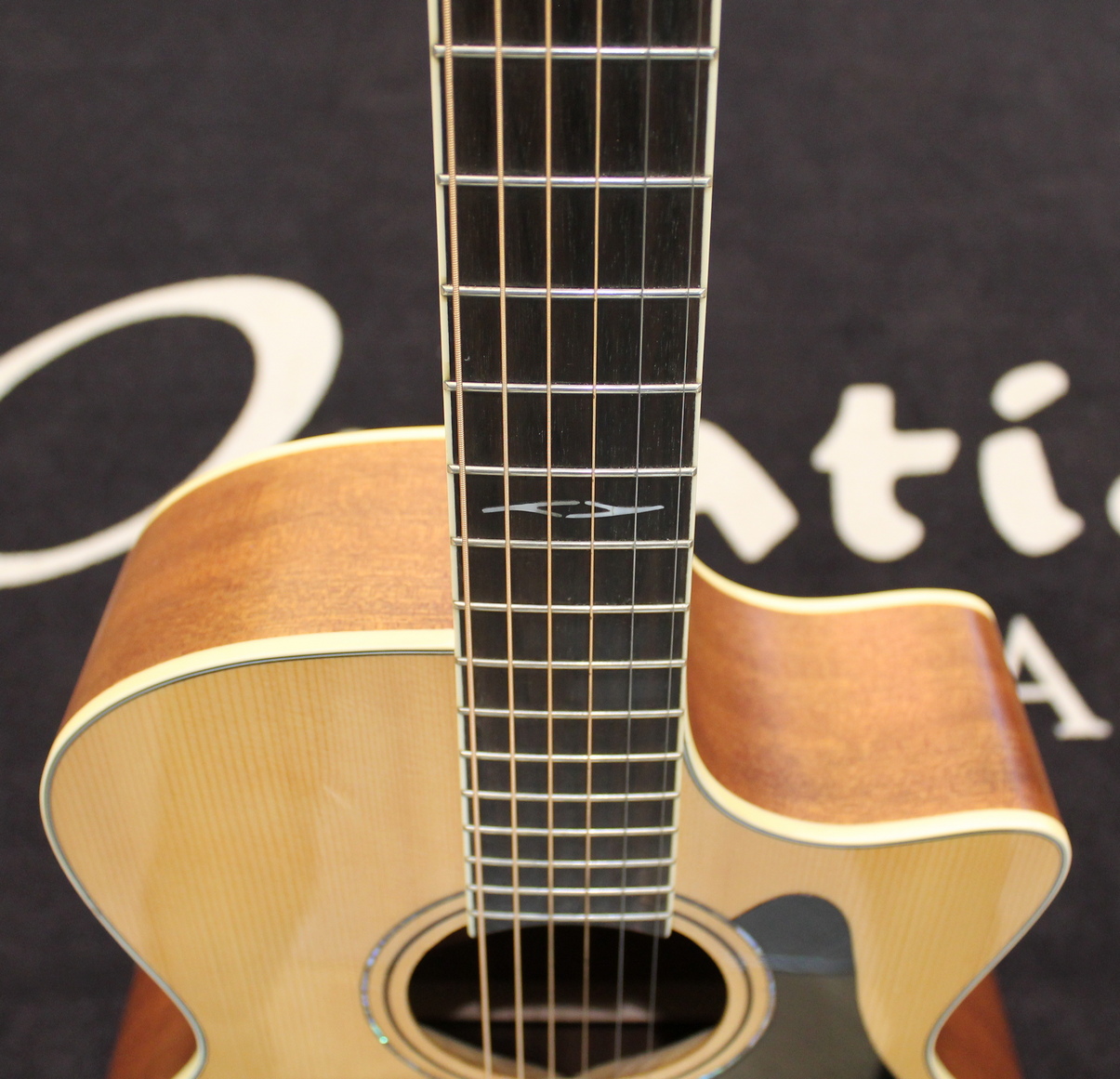 Alvarez AG60CE USATO cod. 124221 - immagine 5