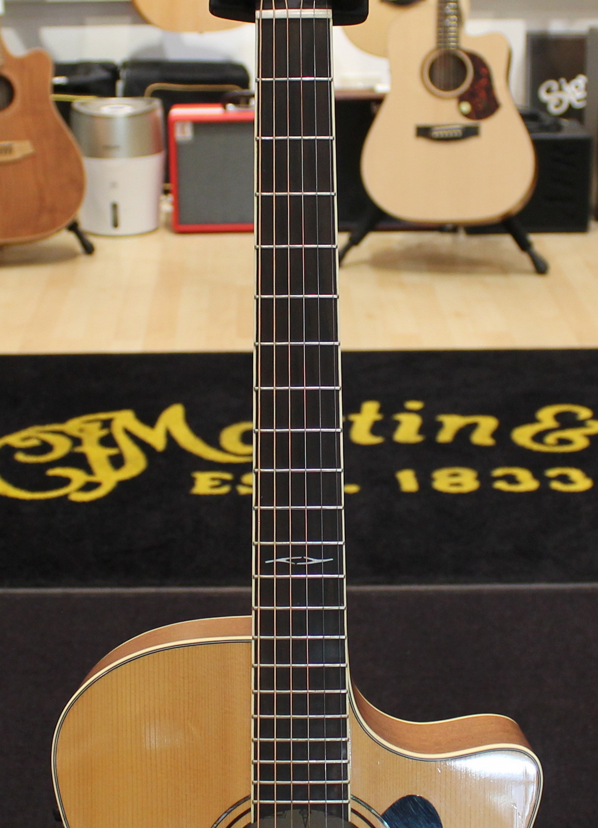 Alvarez AG60CE USATO cod. 124221 - immagine 6