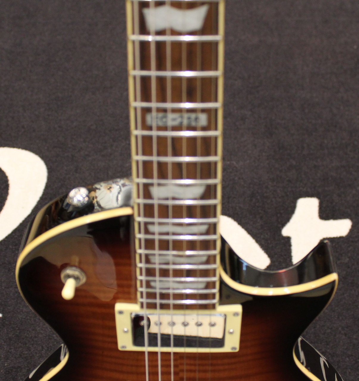 LTD EC-256FM USATO cod. 126821 - immagine 5