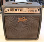 Peavey Ecoustic 110 EFX USATO cod. 121221