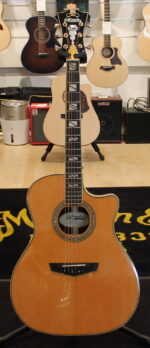 D'Angelico DAEG200VNATGP USATO cod. 11122