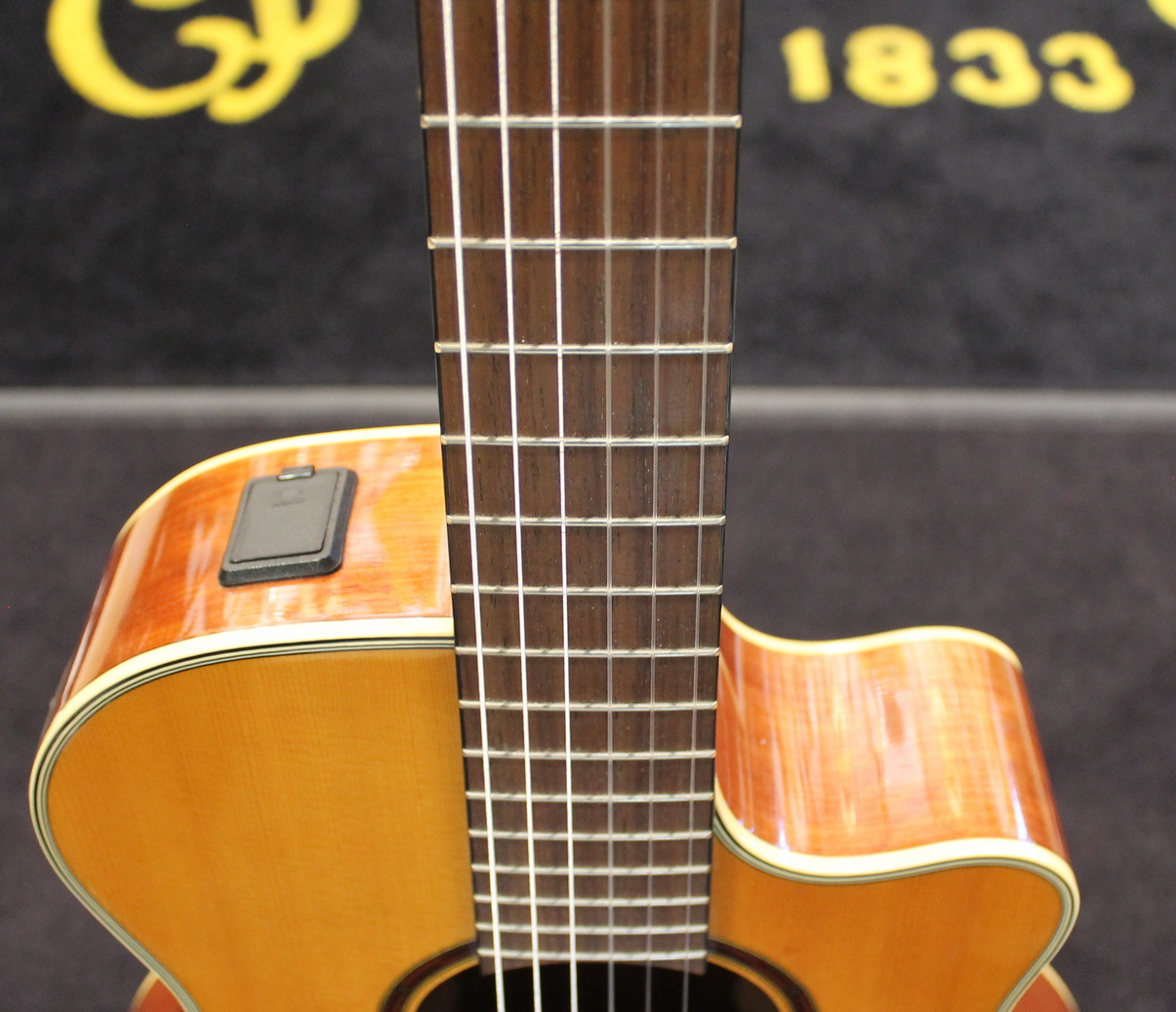 Yamaha APX5 NA USATO cod. 7122 - immagine 5