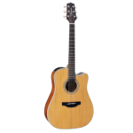 Takamine GD20CE NS