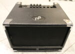 Phil Jones Bass CUB BG-100 USATO cod. 26122