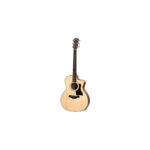 Taylor 114ce Walnut/Sitka