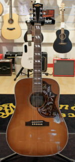 Sigma Guitars DM-SG5 USATO cod.60022