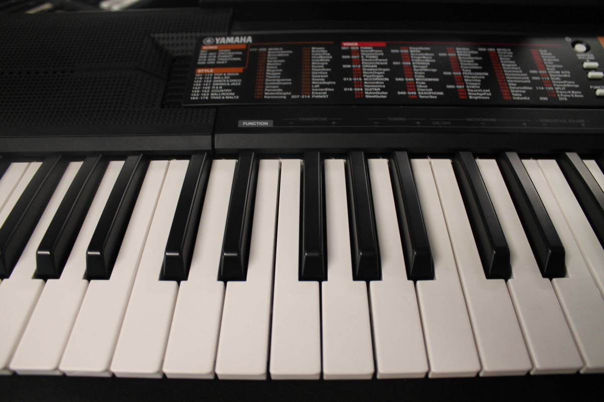 Yamaha PSR-F51 USATO cod. 83922 - immagine 3
