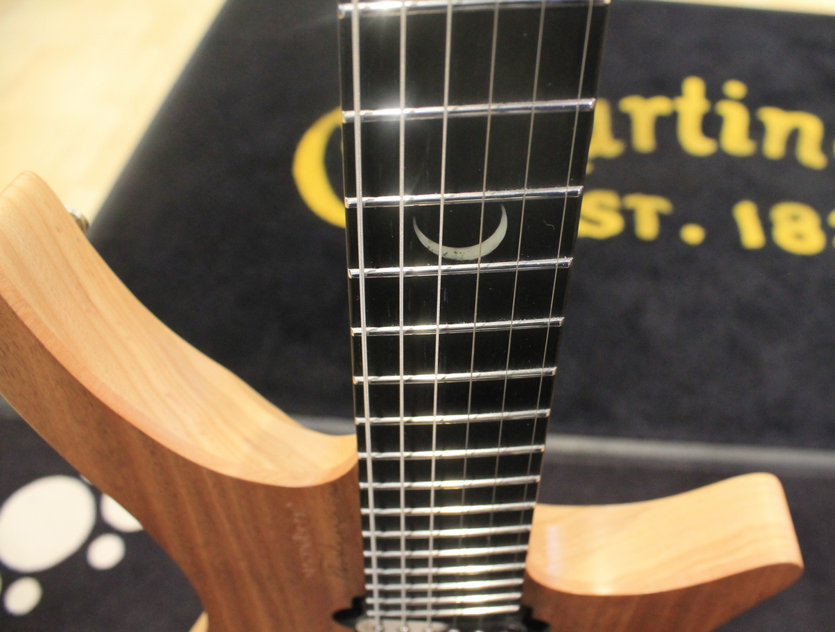 Strandberg Boden Plini Neck-thru USATO cod. 95022 - immagine 5