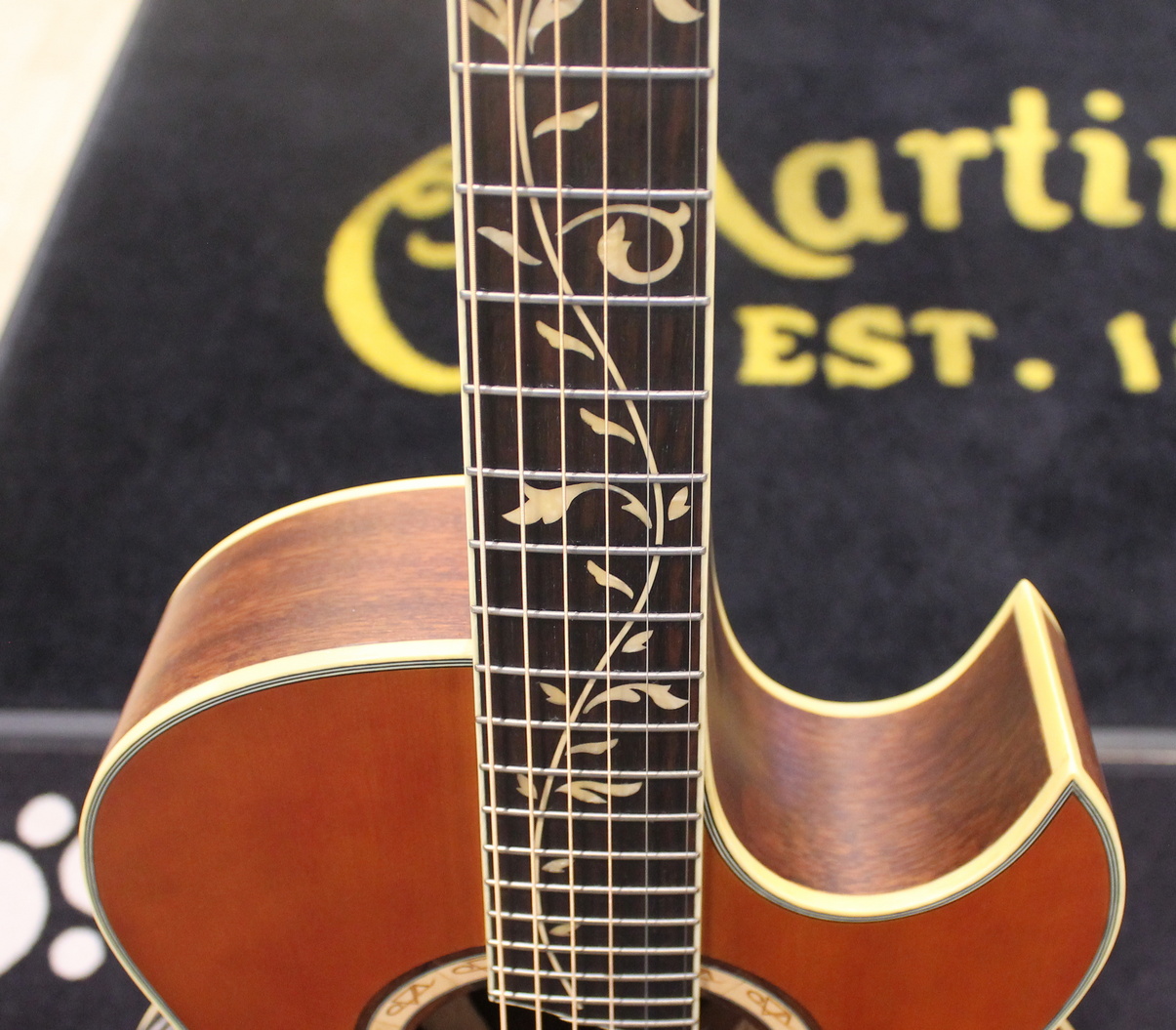 Ibanez EP9 Euphoria USATO cod. 110522 - immagine 6