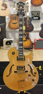 Ibanez PM120 USATO cod. 111522