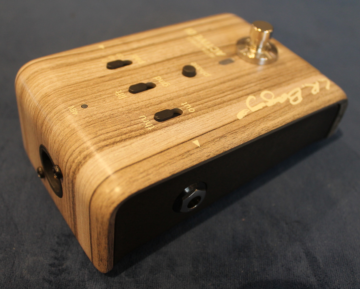 L.R. Baggs Align Active DI USATO cod. 109322 - immagine 4