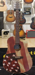 Seagull S6 + CW USATO cod. 111122