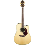 Takamine GD71CE-NAT