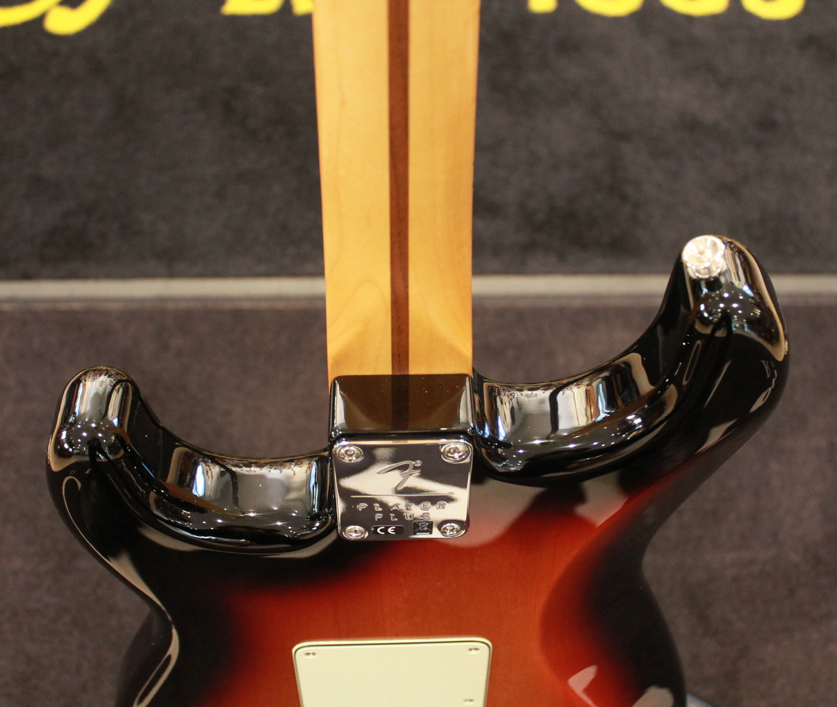 Fender Stratocaster Player Plus HSS USATO cod. 16123 - immagine 11