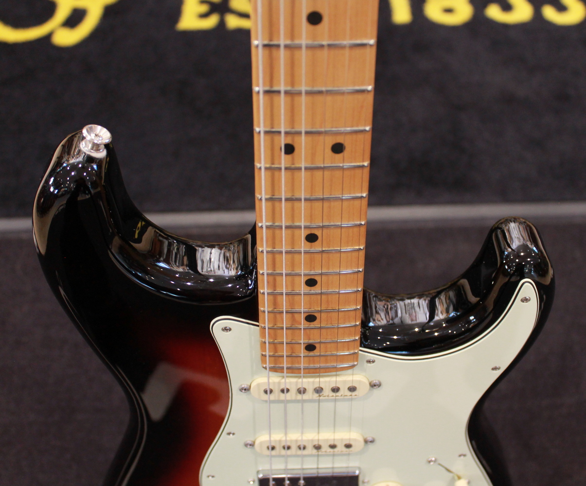 Fender Stratocaster Player Plus HSS USATO cod. 16123 - immagine 5