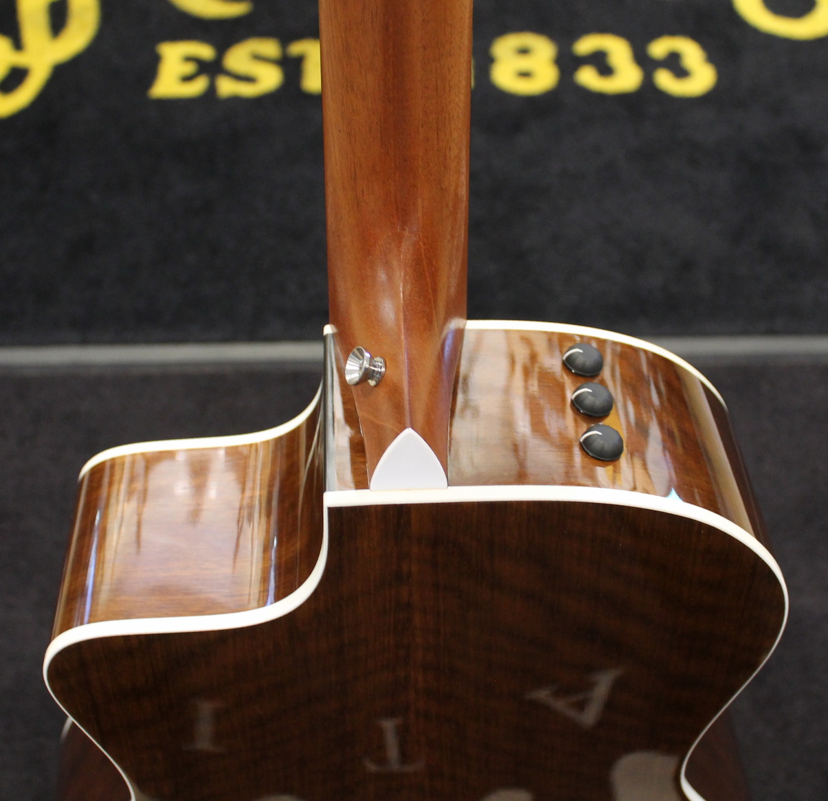 Taylor 214ce DLX USATO cod. 23123 - immagine 11