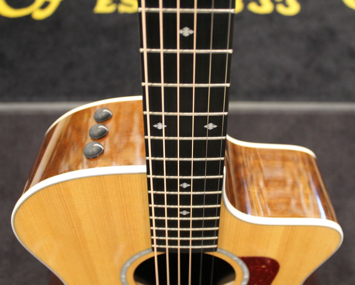 Taylor 214ce DLX USATO cod. 23123 - immagine 5