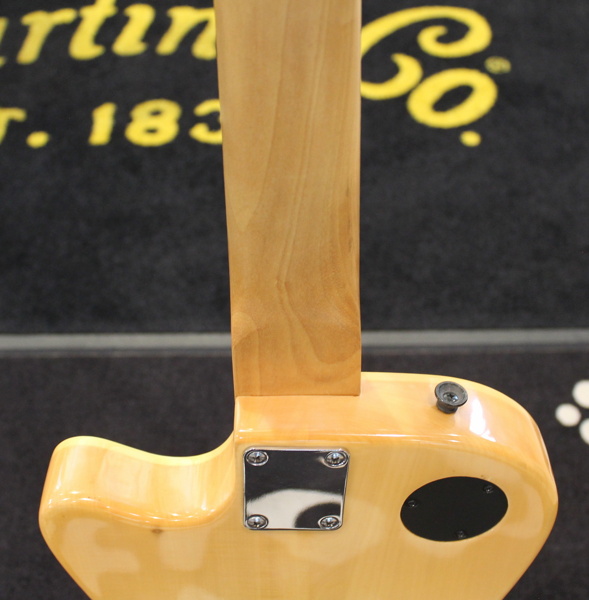 Cherrystone FTAG 5 Fretless USATO cod. 35323 - immagine 11