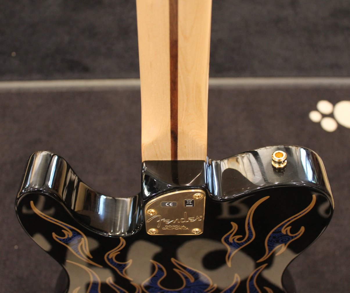 Fender Telecaster James Burton Blue Paisley Flame USATO cod. 34423 - immagine 12