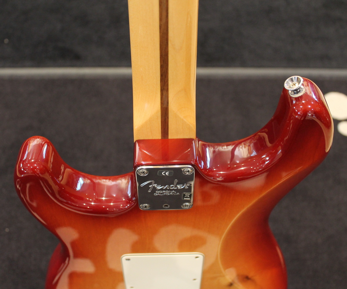 Fender American Standard Stratocaster USATO cod. 34923 - immagine 11