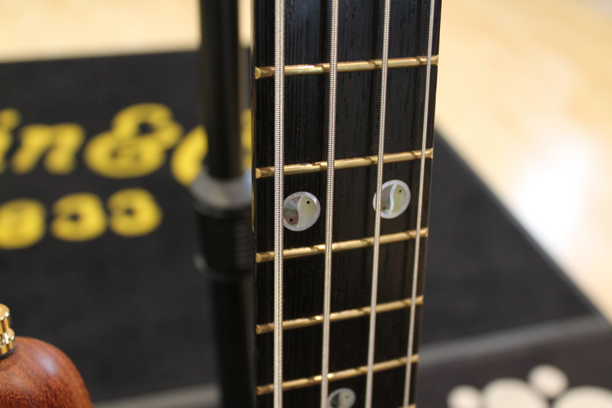 Warwick Streamer Stage II USATO cod. 35923 - immagine 7