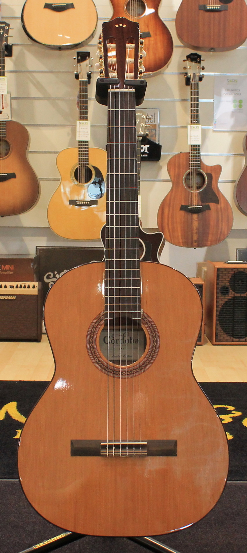 Cordoba C5 Limited USATO cod. 100623