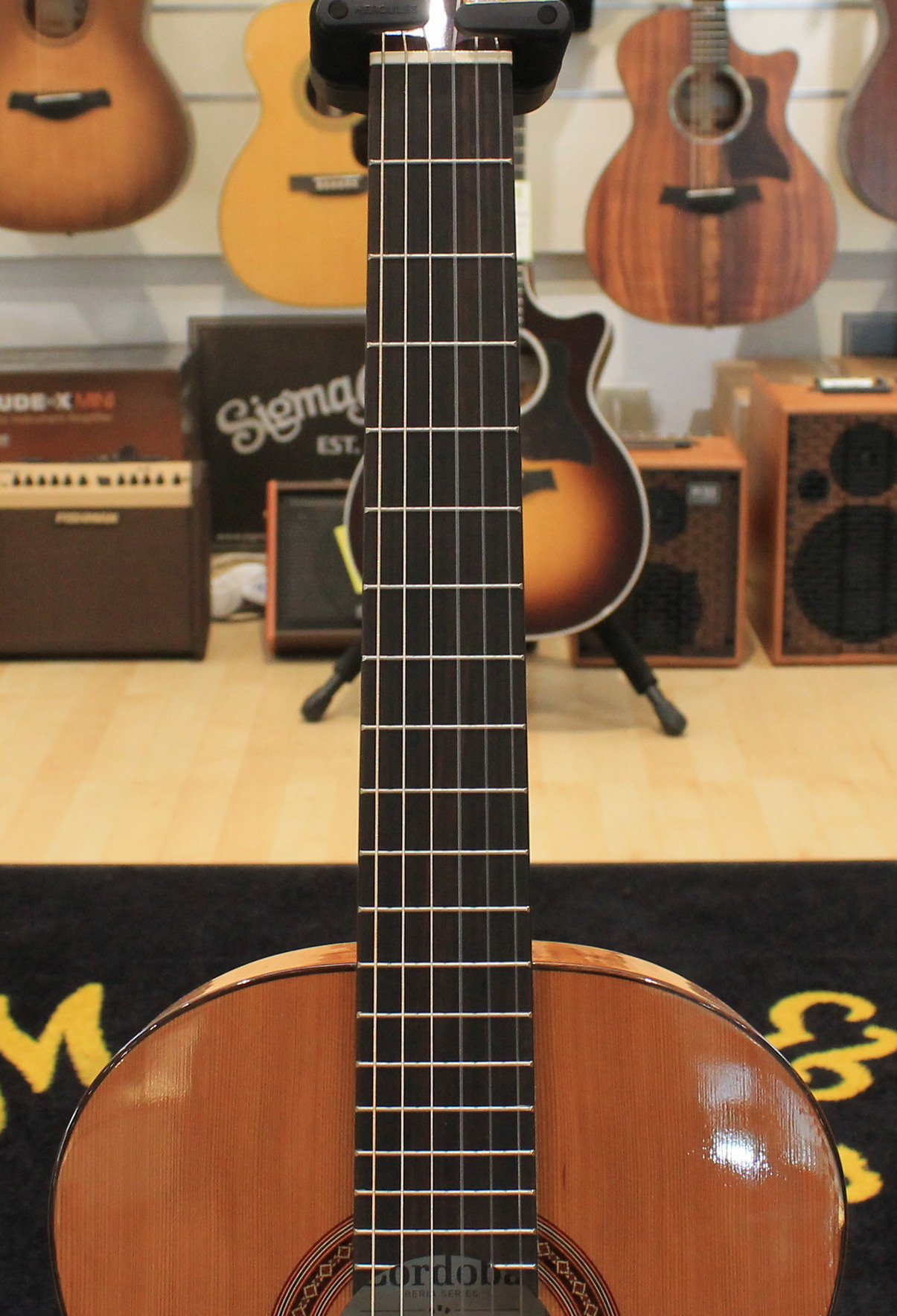 Cordoba C5 Limited USATO cod. 100623 - immagine 7