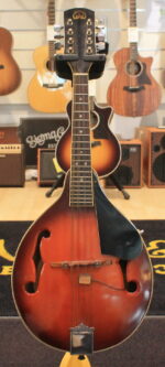 Hondo Mandolin USATO cod. 101123