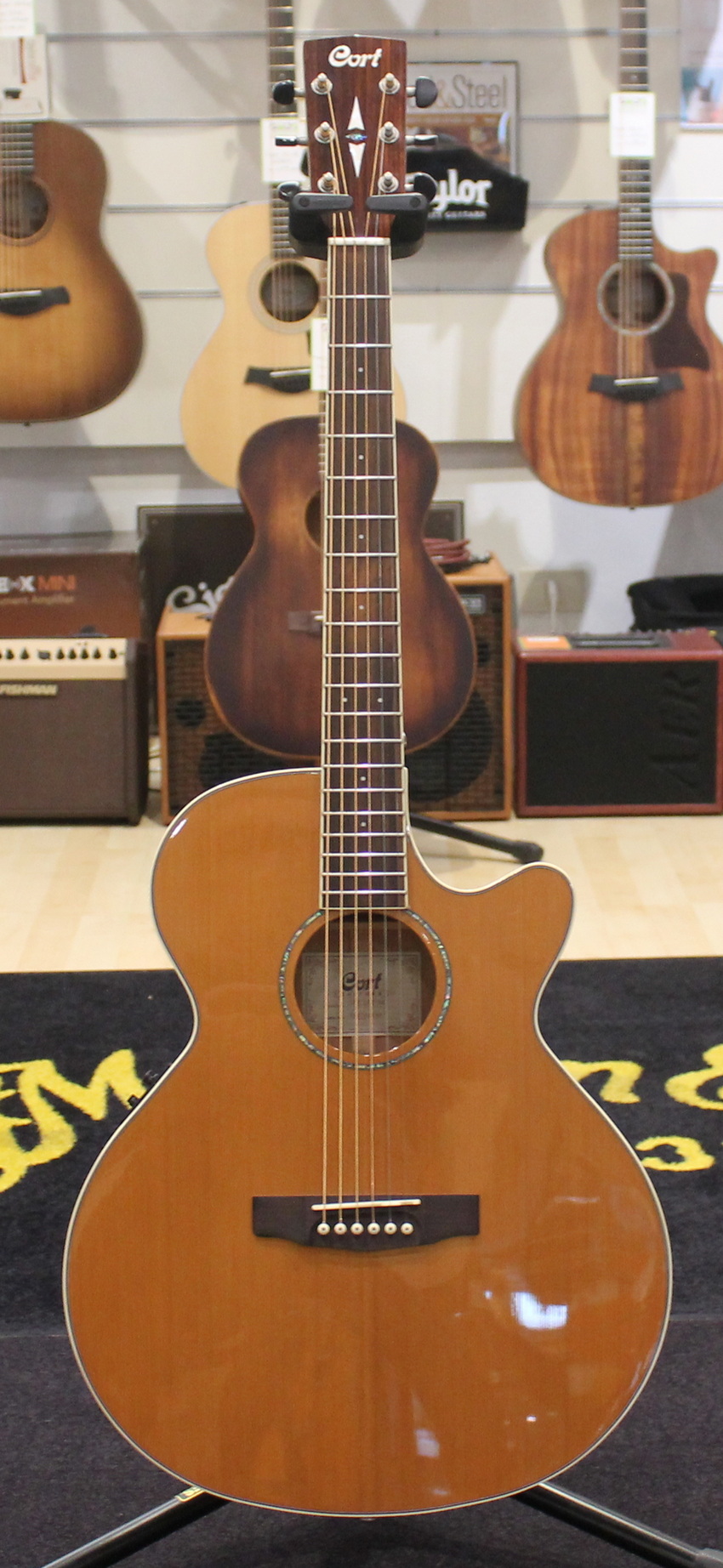 Cort SFX CED NAT USATO cod. 109323