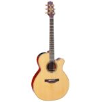 Takamine P3NC Natural