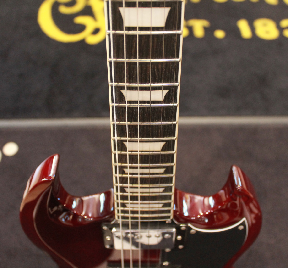 Eko DV-10 TR USATO cod. 36224 - immagine 5