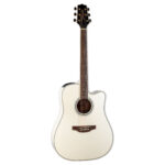 Takamine GD37CEPW Natural