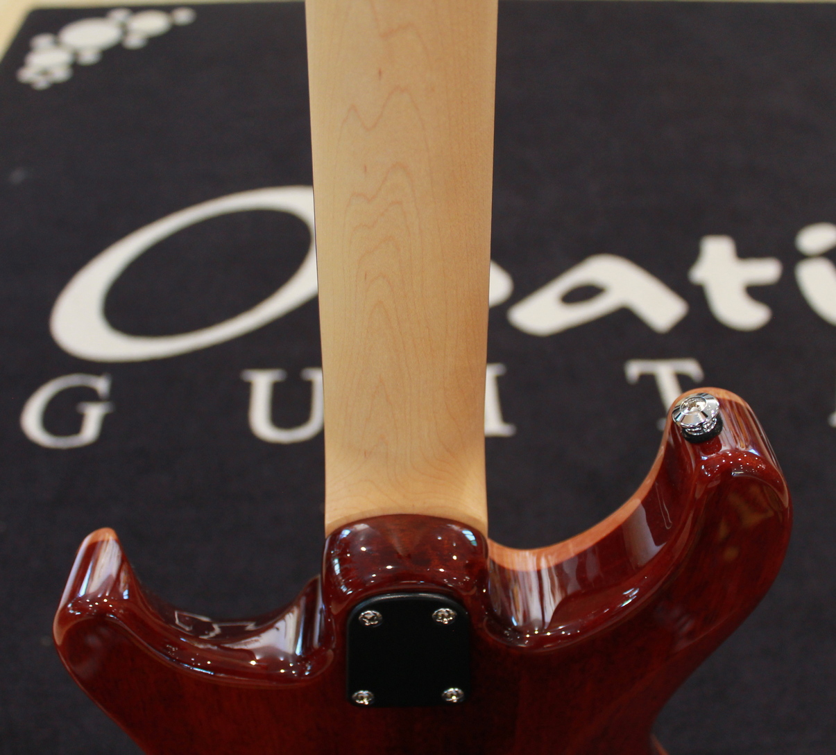 PRS Paul Reed Smith SE CE24 USATO cod. 40124 - immagine 11