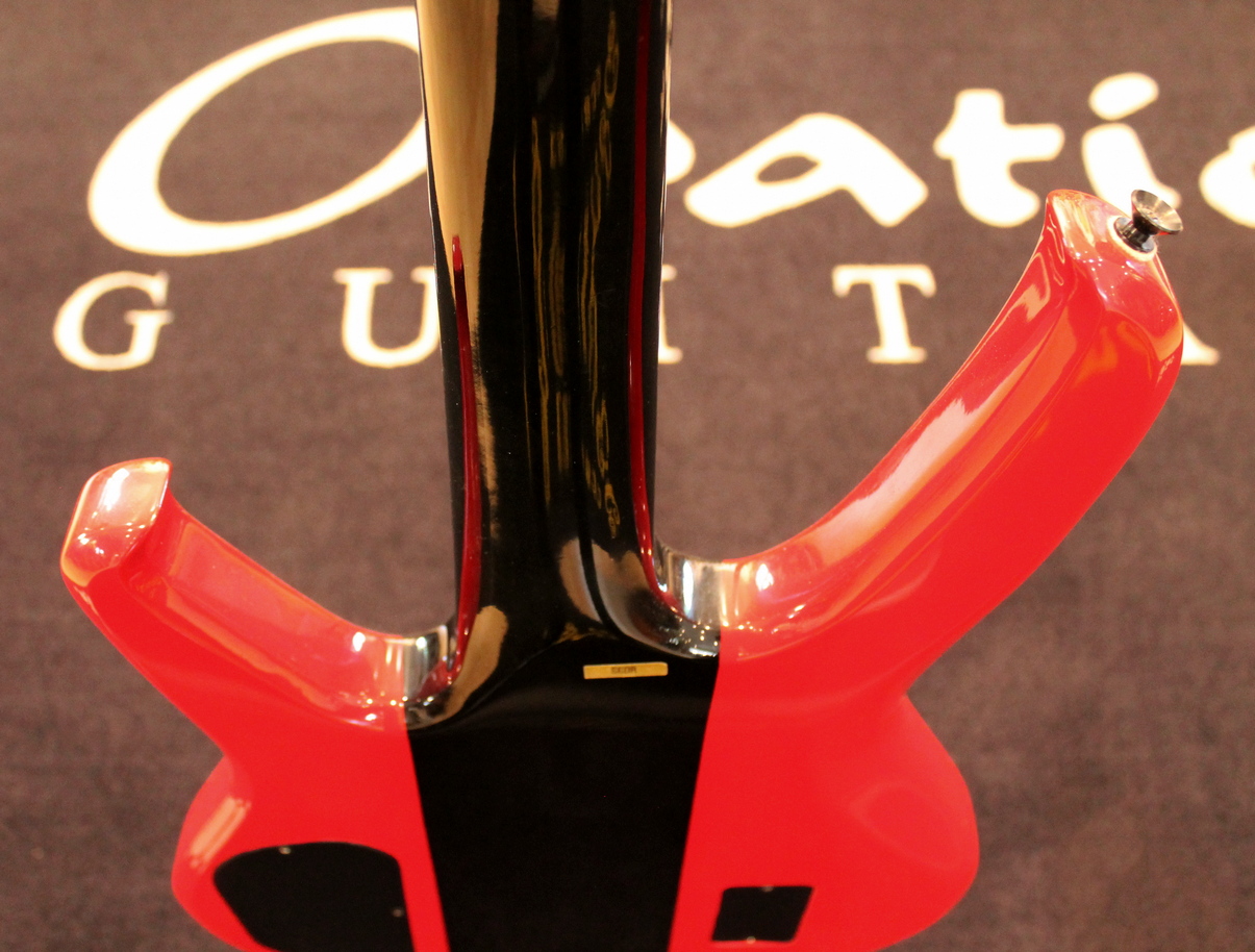 Washburn Status S1000 USATO cod. 37824 - immagine 10