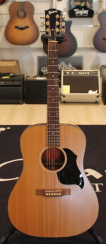 Gibson Songbird USATO cod. 48824