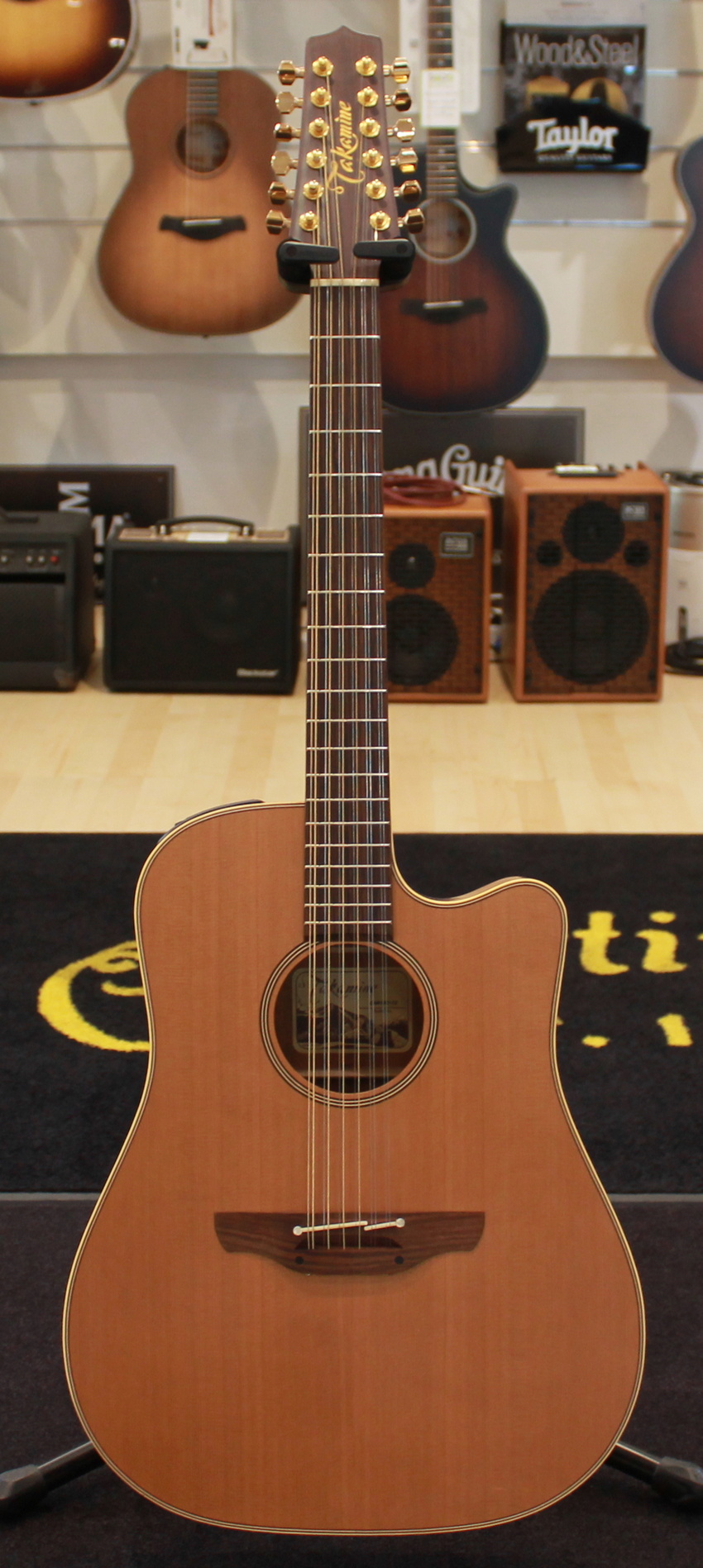 Takamine EAN10C USATO cod. 58624